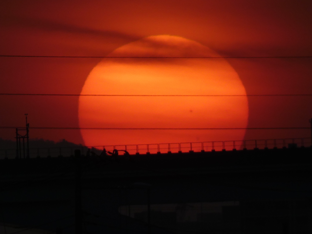 舎人ライナー高架上に落ちる大きな夕日