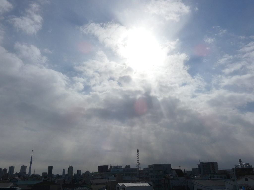 ’22新春の荒川土手から南の荒れた空