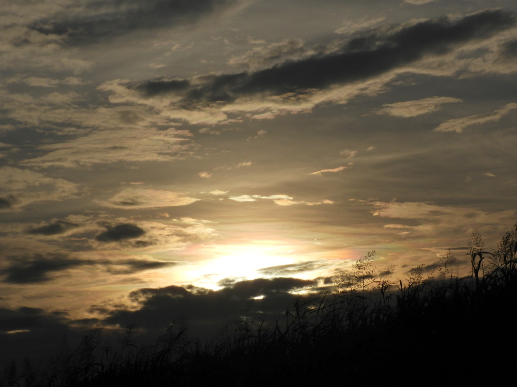 足立花火大会の荒川土手の彩雲のある夕焼け