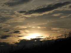 足立花火大会の荒川土手の彩雲のある夕焼け