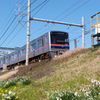 隅田川沿い千住緑町のどて京成線と春の風景