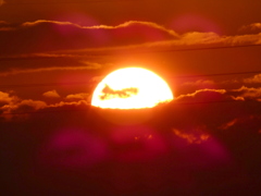 雲海に沈む夕日に猫