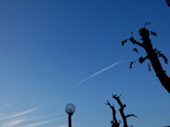 町屋の小さい公園の空の風景