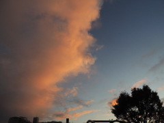 隅田川土手の夕焼けぐも