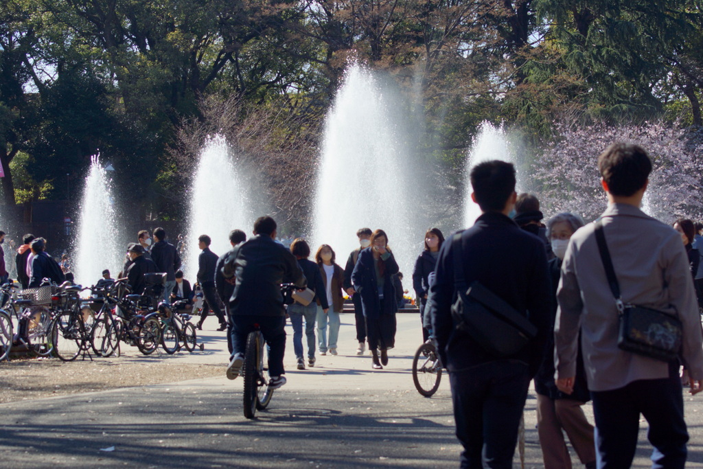 上野公園の噴水のお花見客