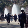 上野公園の噴水のお花見客