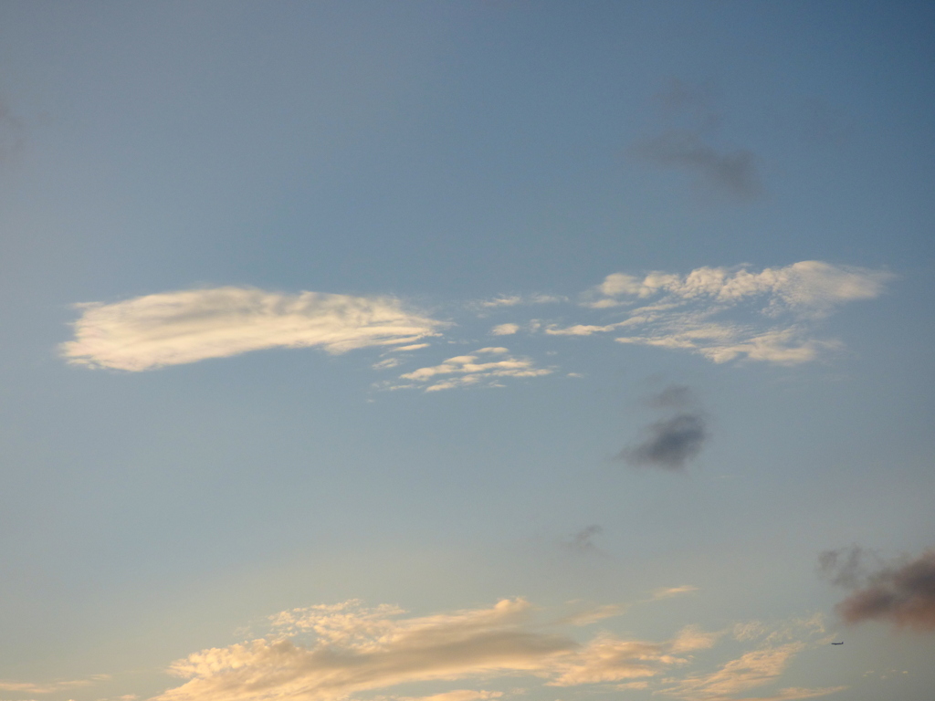 高積雲いろいろ２