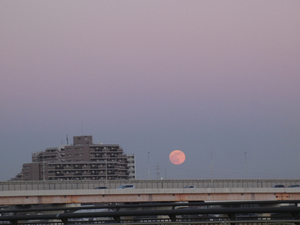 登ってきた満月