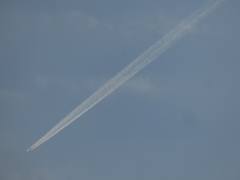 河原の飛行機雲