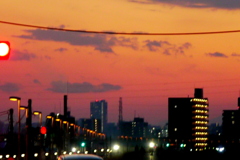 荒川土手の夕景色