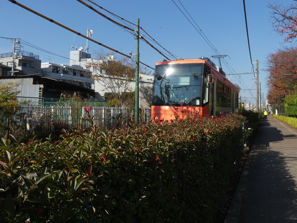 レッドロビンと赤い都電荒川線