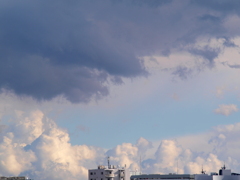 尾竹橋から隅田川下流の夏のような積雲群と上の黒い積雲