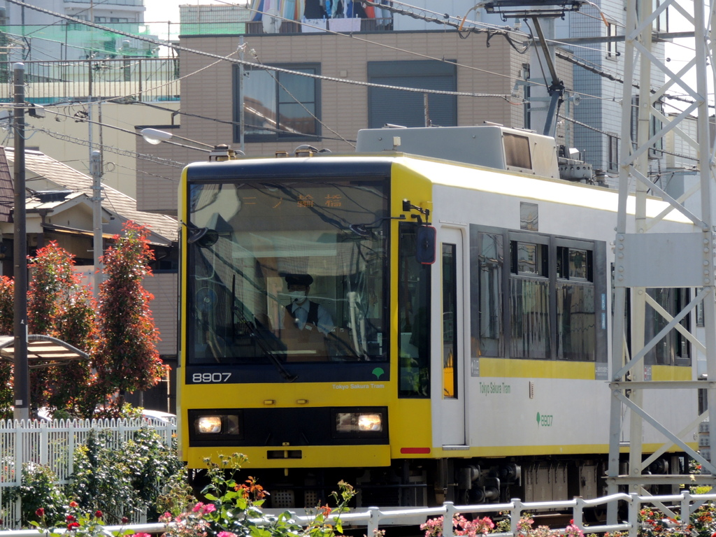 黄色い都電荒川線