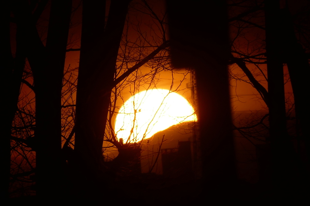 森の奥の雁腹摺山の夕日
