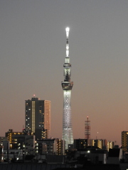 ’23新年の荒川土手から白い東京スカイツリー