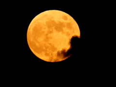 月食前の雲被る黄金の満月