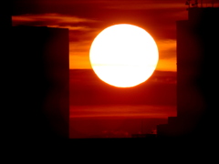 ビルの谷間の夕日