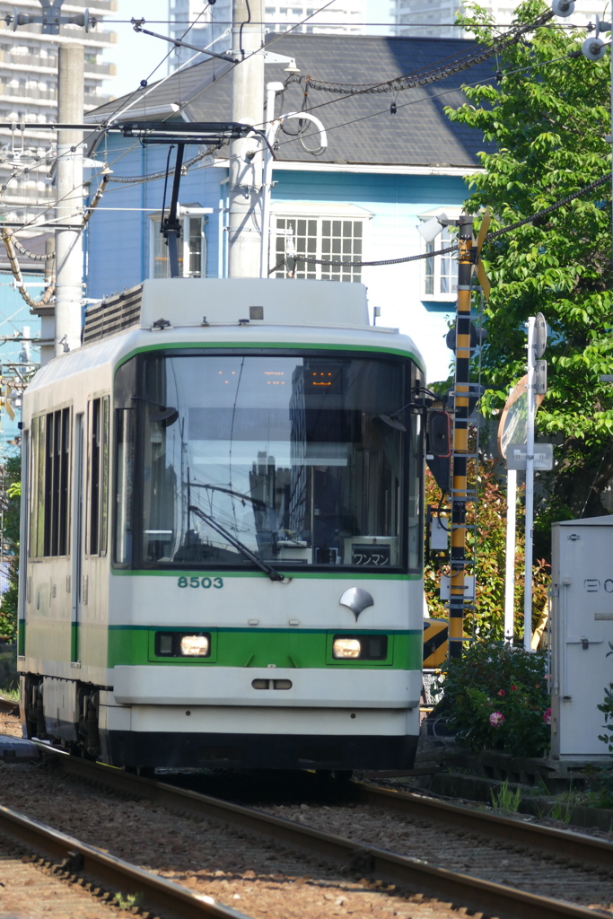 荒川7丁目から町屋に向かうグリーンストライプの都電荒川線