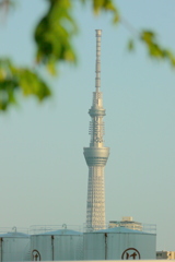 夕方雨上がりの隅田川テラスから東京スカイツリー