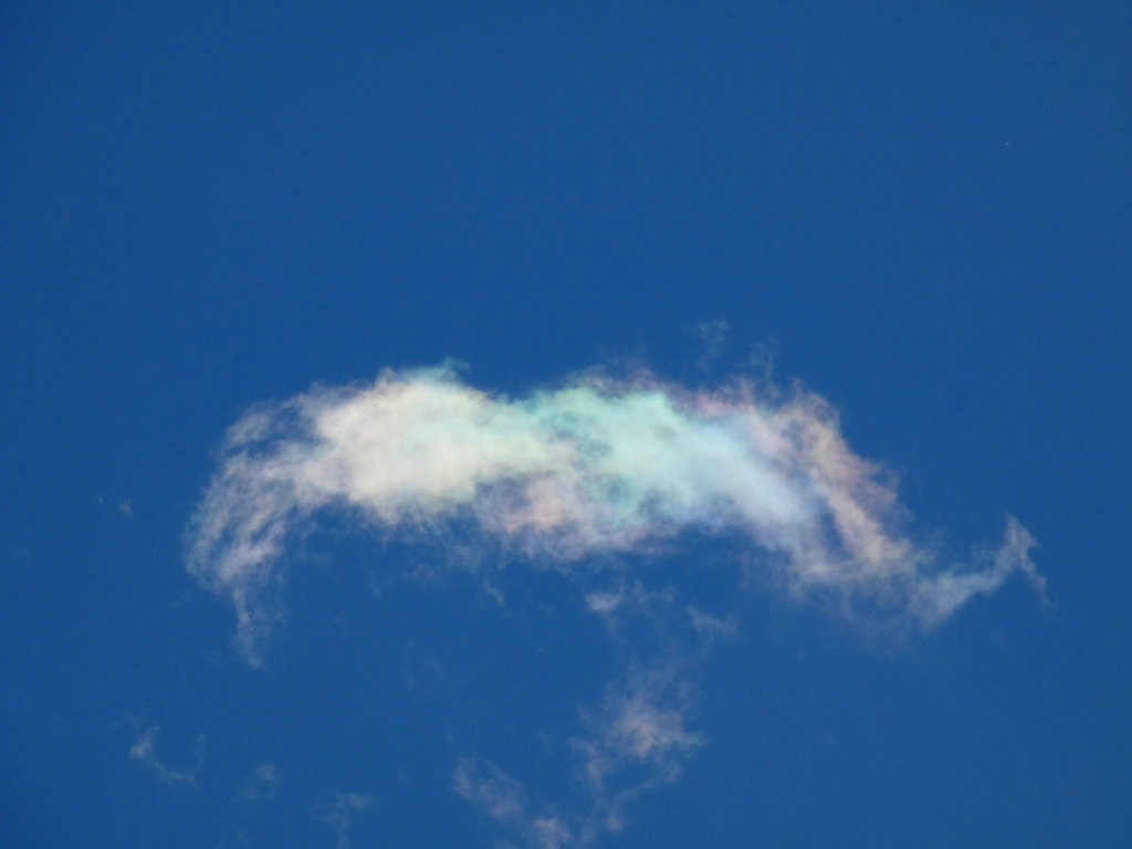 隅田川近く上空のエビに似た彩雲