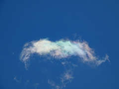 隅田川近く上空のエビに似た彩雲