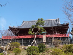 京都清水寺の舞台を模した上野寛永寺清水観音堂と’月の松’