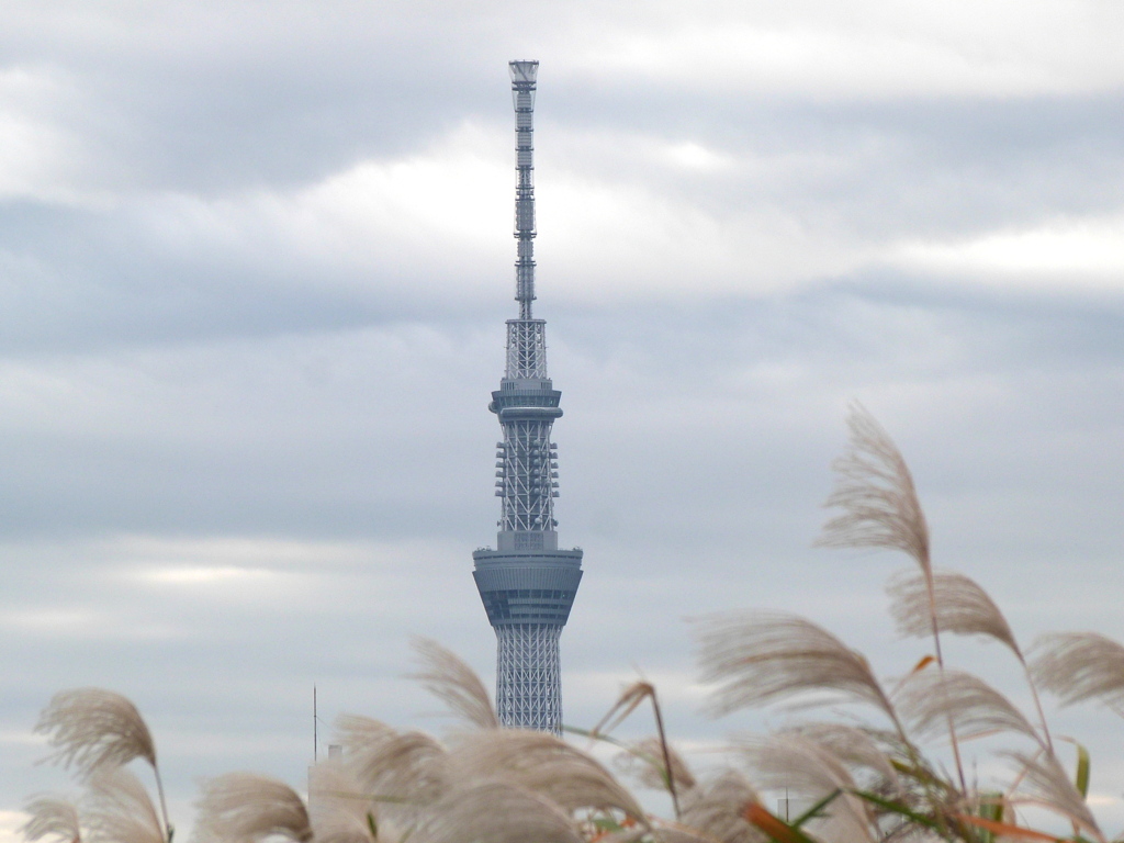 河原の東京スカイツリー