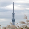 河原の東京スカイツリー