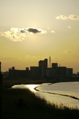 西新井橋の夕日に掛かる雲とワンドの風景