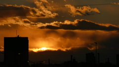 荒れる荒川土手の夕暮れ