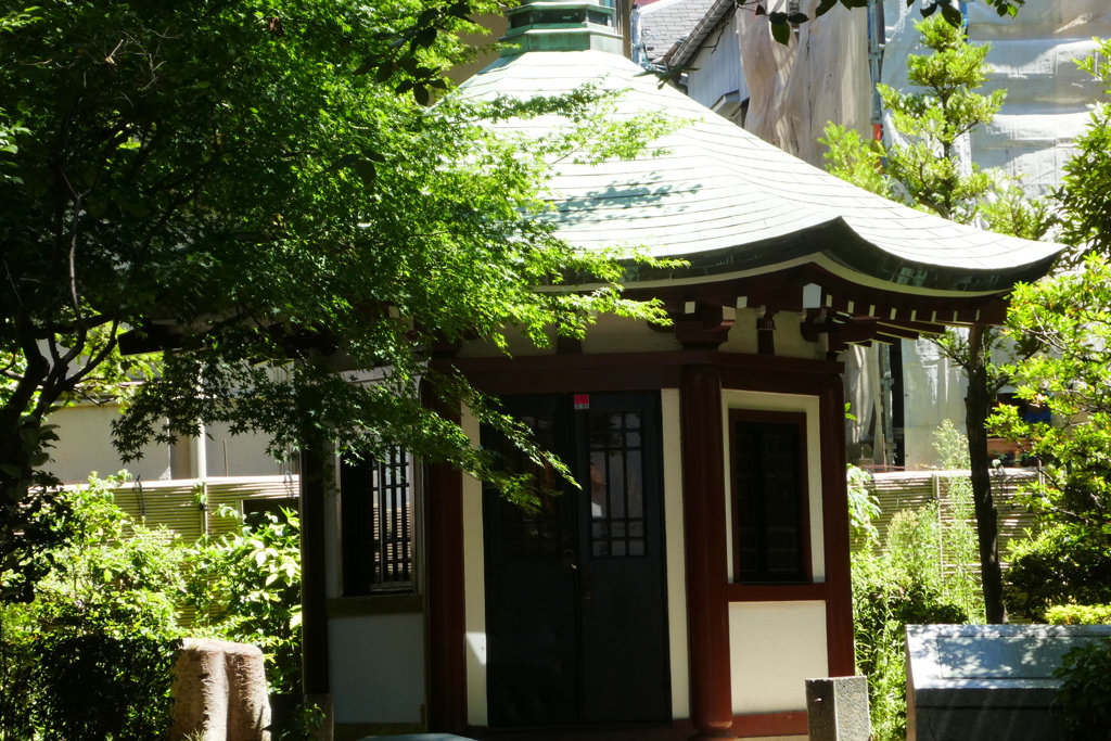 谷中の公園、岡倉天心の
