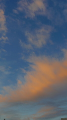 隅田川北の雲
