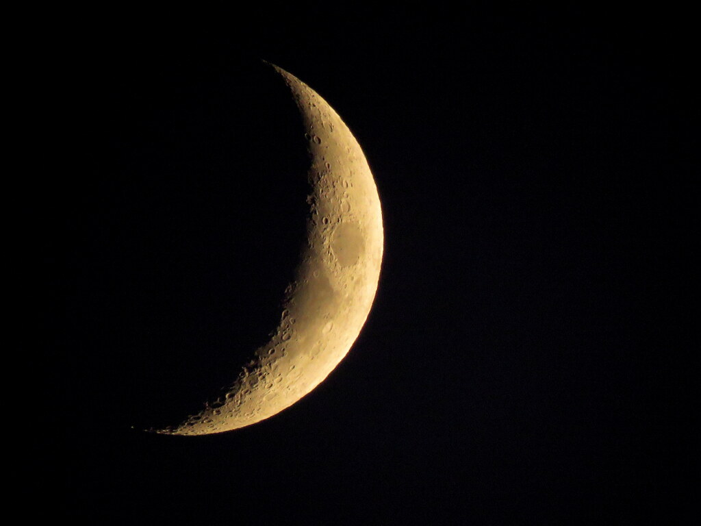 月齢4.3