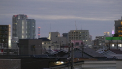 荒川土手から右新宿ドコモタワーと中央左のＮＴＴ東日本赤坂ビルの鉄塔