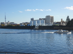 隅田川の風景