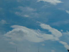 隅田川上空
