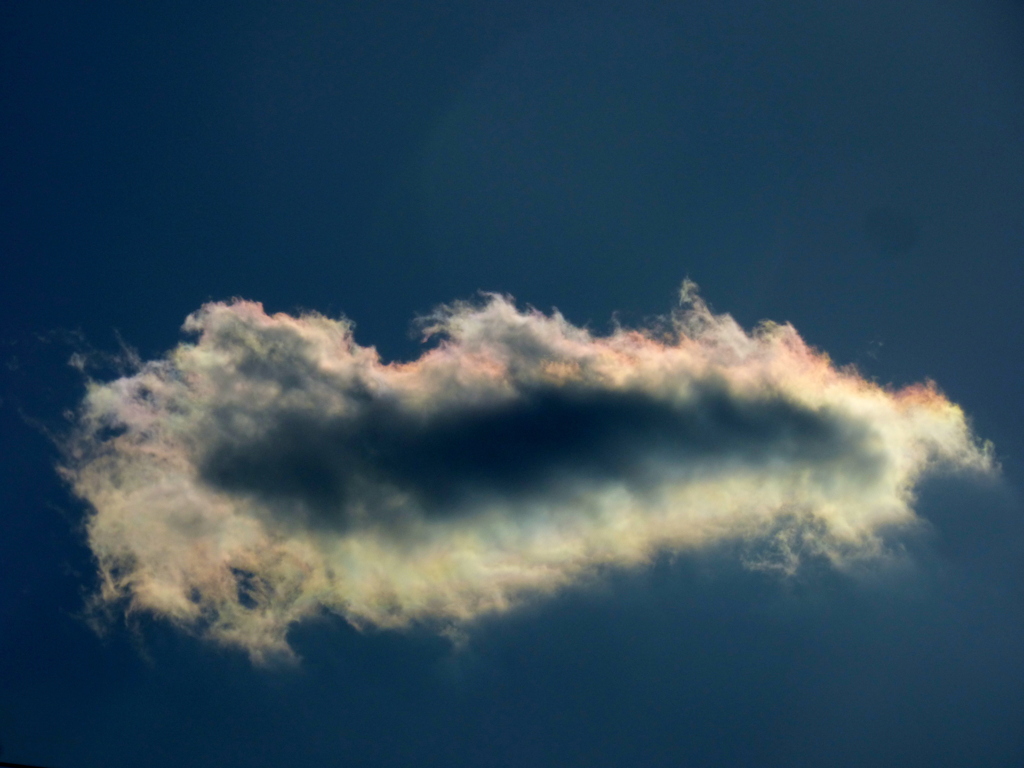 積雲の彩雲