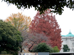 上野の山の秋