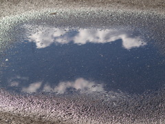 土手の水たまりの雲