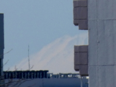 小台橋の足立区側から隅田川の荒川区の建物の間の雪の富士山