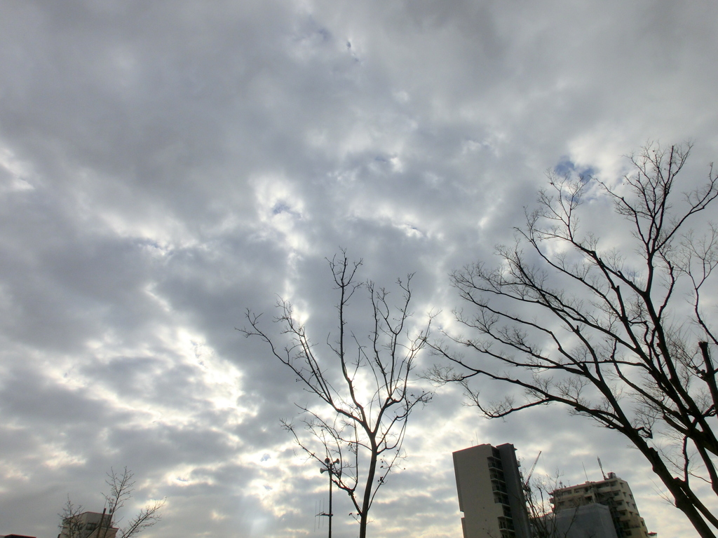 千住龍田町の何もない広い公園の雲の多い冬空