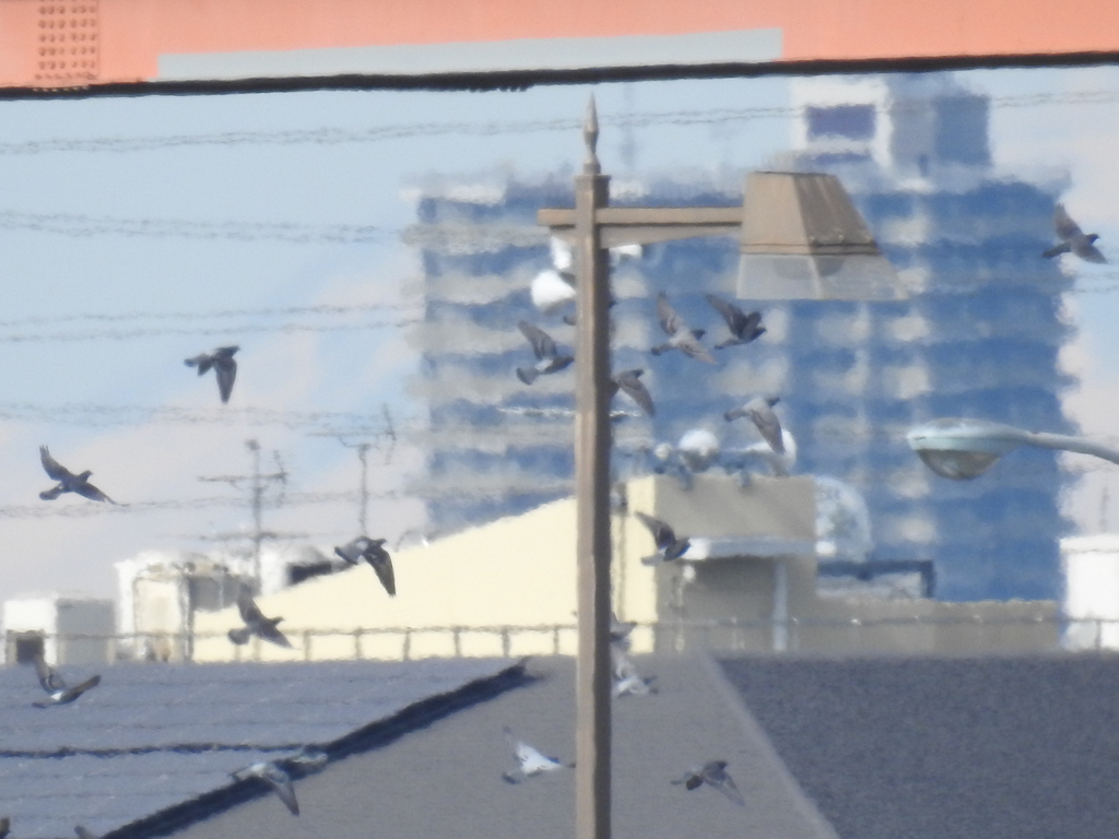高速高架の下の浅間山