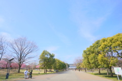 舎人公園の空と