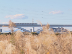 荒川の小台ワンドから舎人ライナー