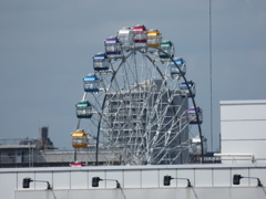 橋の上から見えたリニューアルの荒川遊園観覧車
