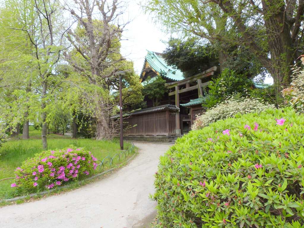 隅田公園の牛島神社と咲き始めたヒラドツツジ