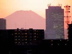 千住新橋から富士山の夜景