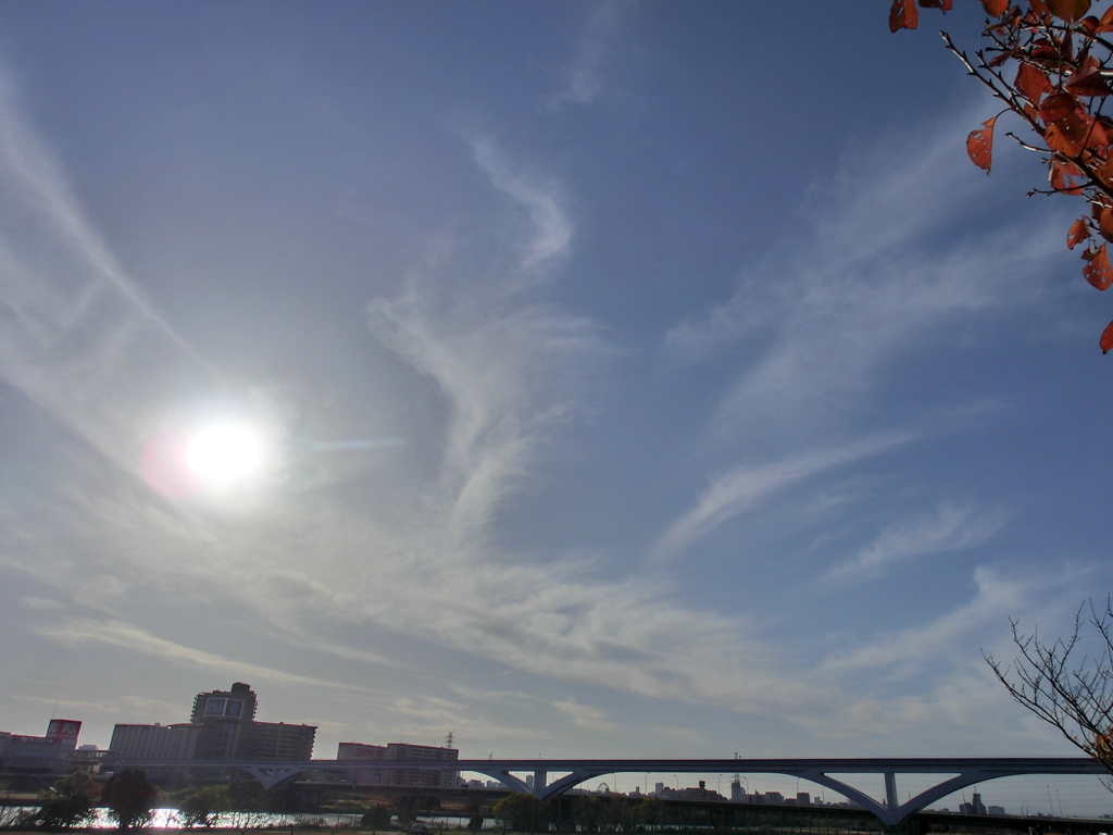 江北五色桜の土手から見えた舎人ライナー高架上の空.雲