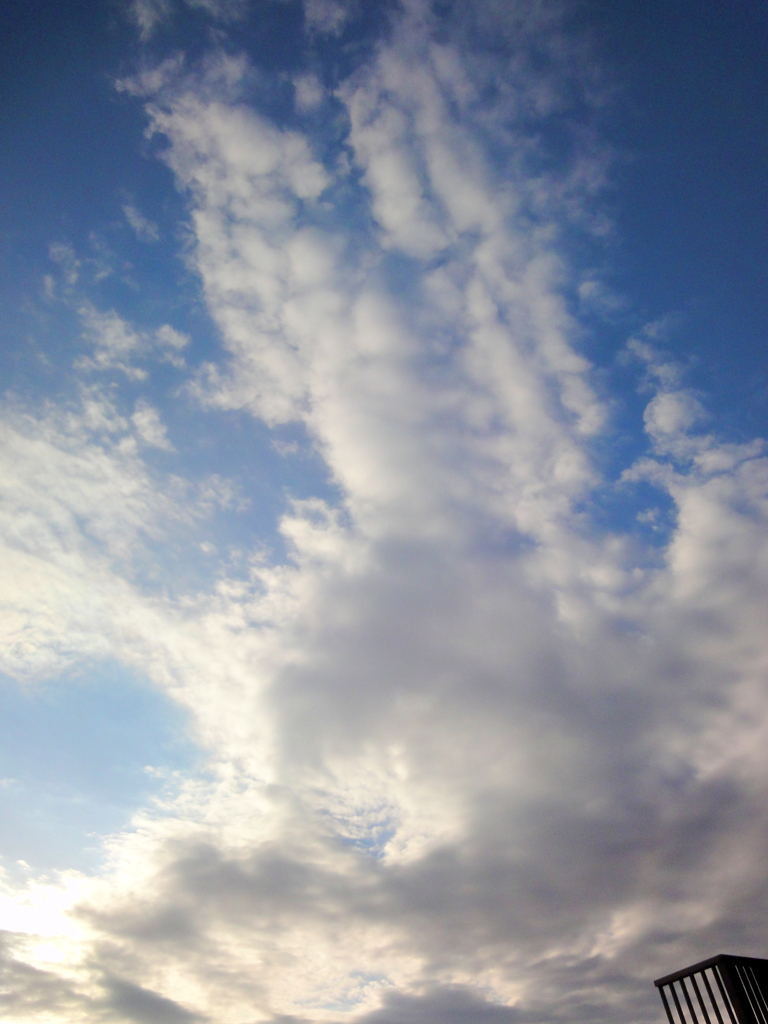 千住桜木ワンド下隅田川上空の空