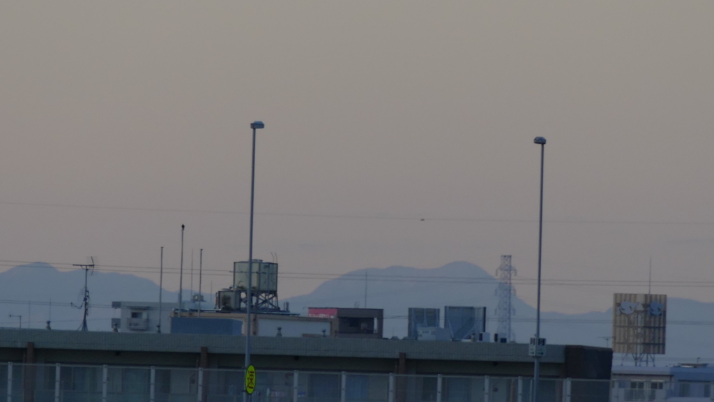 荒川土手から対岸の高速上の像の背すかいさん